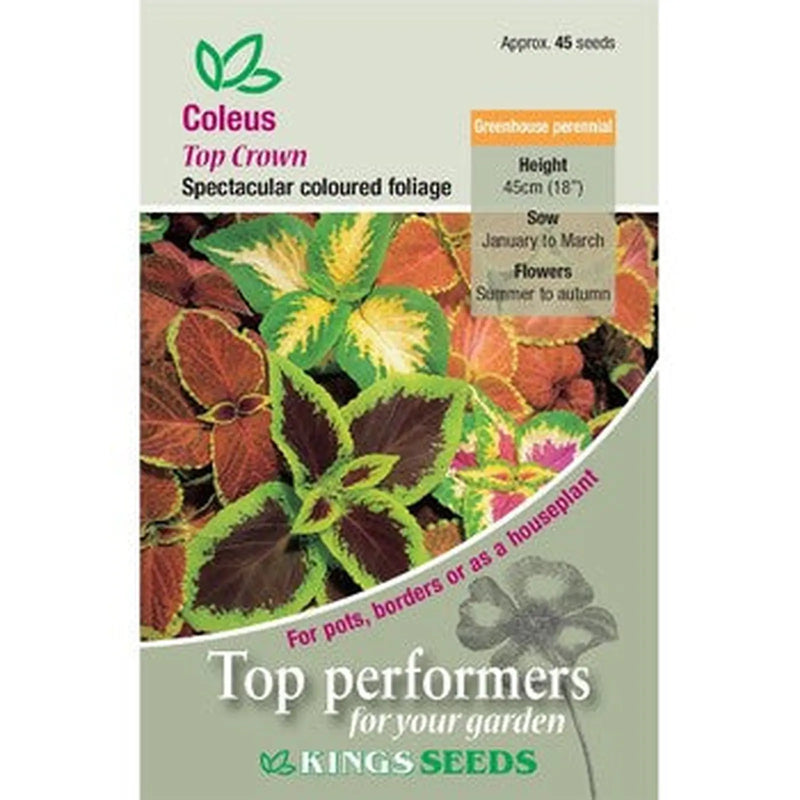 Kings Seeds Coleus, Top Crown (PM E)