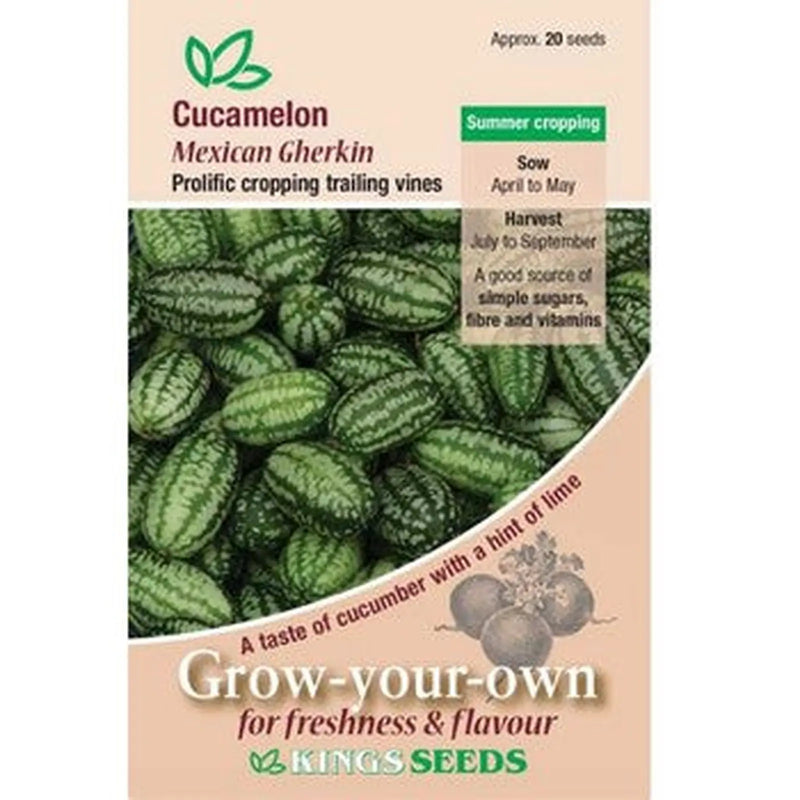 Kings Seeds Cucamelon (PM B )