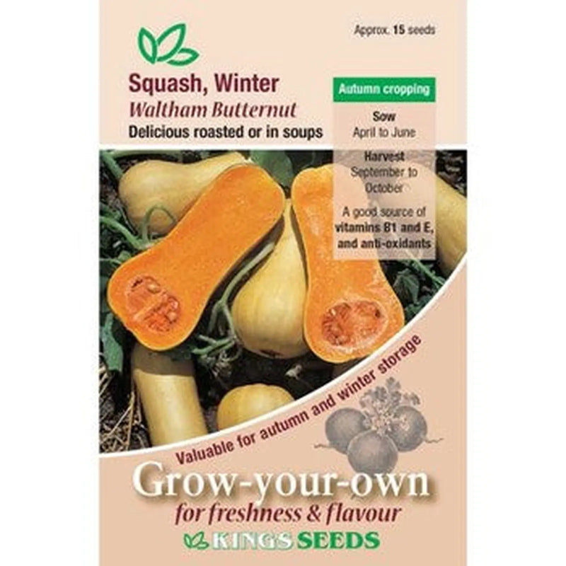 Kings Seeds Squash, Winter Waltham Butternut (PM A  )