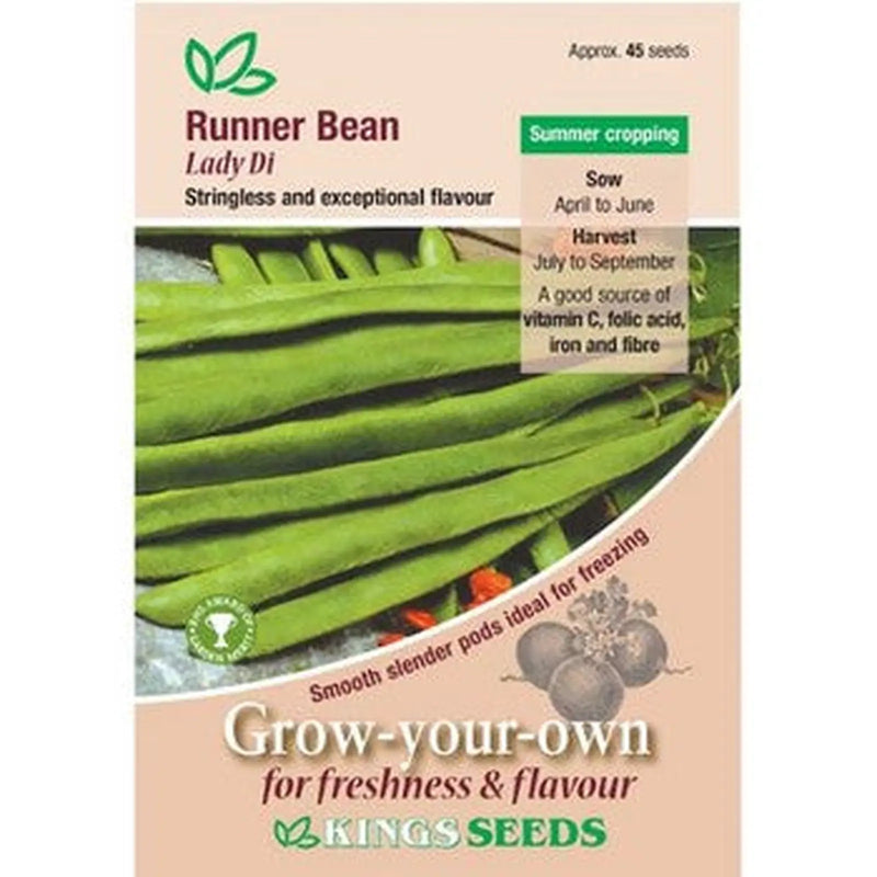 Kings Seeds Runner Bean, Lady Di (PM H)
