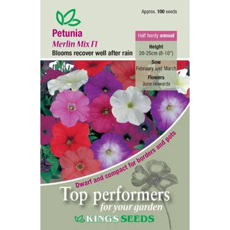 Kings Seeds Petunia, Merlin Mix F1 (PM H)