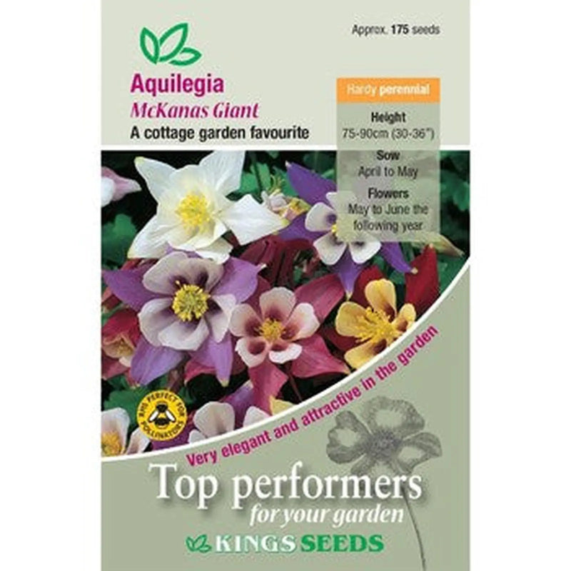 Kings Seeds Aquilegia, McKanas Giant (PM C)