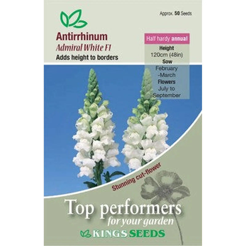 Kings Seeds Antirrhinum, Admiral White F1 (PM D)