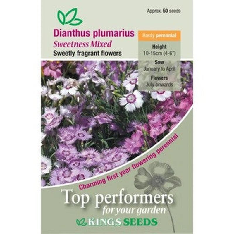 Kings Seeds Dianthus plumarius, Sweetness Mixed (PM F)