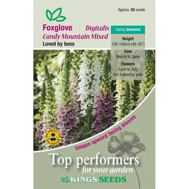 Kings Seeds Foxglove, Digitalis Candy  Mountain Mixed (PM E)