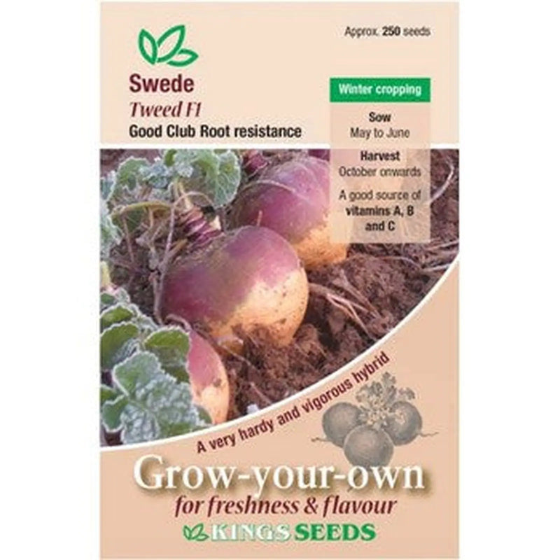 Kings Seeds Swede, Tweed F1 (PM B )