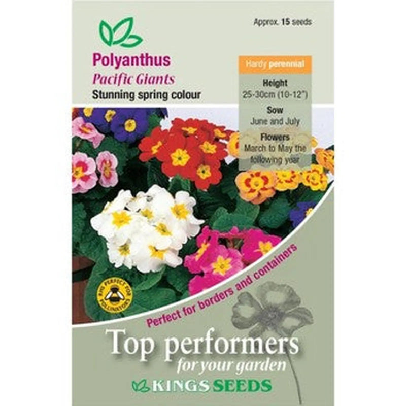Kings Seeds Polyanthus, Pacific Giants (PM F)