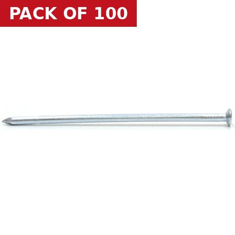 Centurion 100mm Masonry Nails  (100)