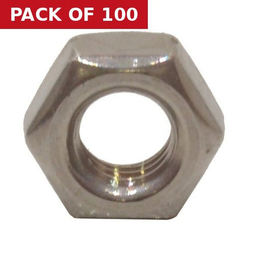 Centurion M6 SS Hex Nuts  (100)