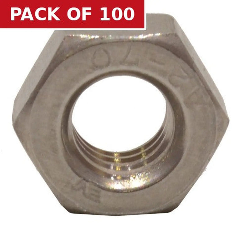 Centurion M10 SS Hex Nuts  (100)