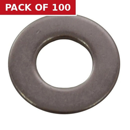 Centurion M10 SS Flat Washers   (100)