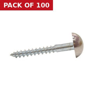 Centurion 35mm x 8 CP Dome Mirror Screws   (100)