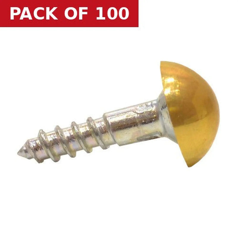Centurion 25mm x 8 EB Dome Mirror Screws  (100)
