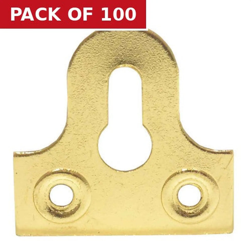 Centurion 32mm EB Slotted Glass Plate - Pack of 100