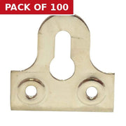 Centurion 32mm NP Slotted Glass Plate - Pack of 100