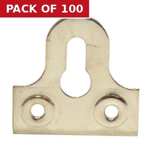 Centurion 32mm NP Slotted Glass Plate - Pack of 100