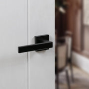 Atlantic Tupai Rapido QuadraLine Rillo Lever Door Handle on Square Rose