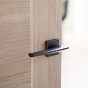 Atlantic Forme Boston Lever Door Handle on Minimal Square Rose