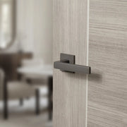 Atlantic Tupai Rapido 5S Line Portel Lever Door Handle on 5mm Slimline Square Rose