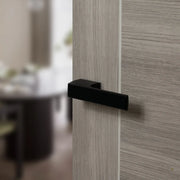 Atlantic Tupai Rapido RetaLine Panela Lever Door Handle on Long Rose