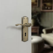 Atlantic Old English Warwick WC Lever Door Handle on Backplate