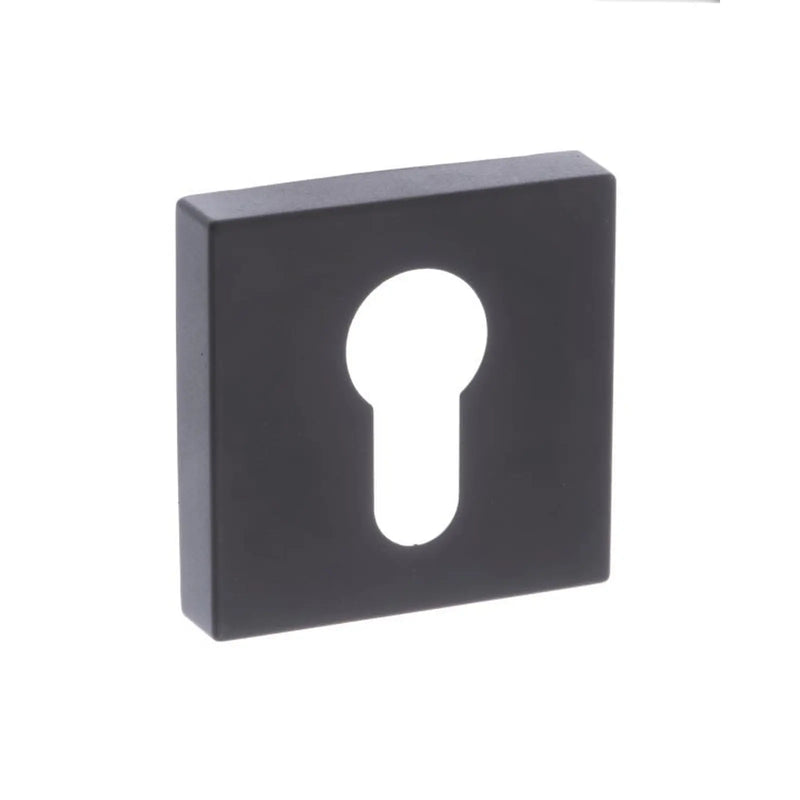 Atlantic STATUS Euro Escutcheons on S4 Square Rose