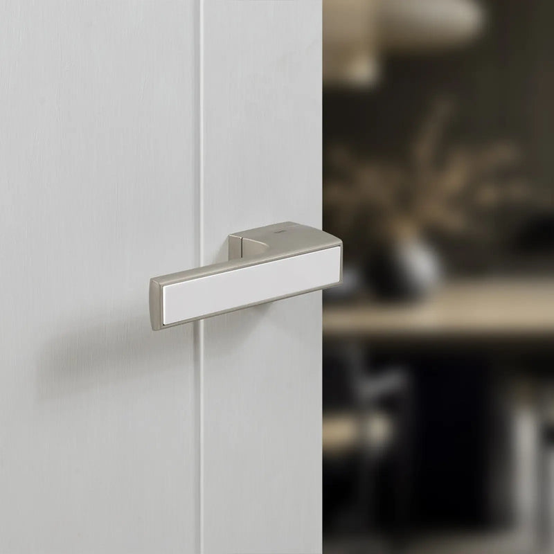 Atlantic Tupai Rapido VersaLine Tobar Lever Door Handle on Long Rose