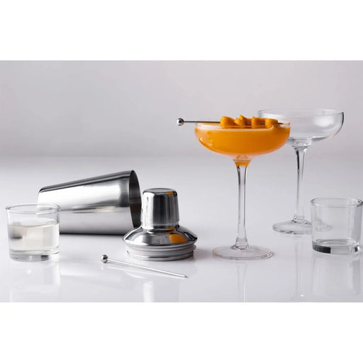 Ravenhead Entertain Martini Cocktail Set