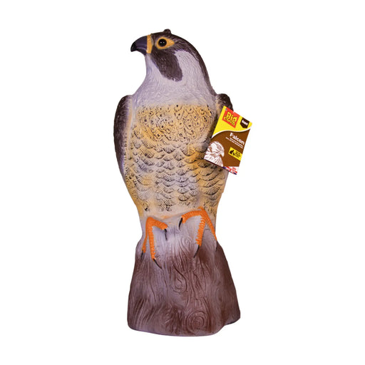 The Big Cheese Falcon