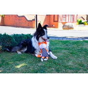 ROSEWOOD Mr Fox Dog Toy