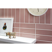 Johnson Tiles South Bank Blossom Gloss Field 245 x 75mm 0.99m2