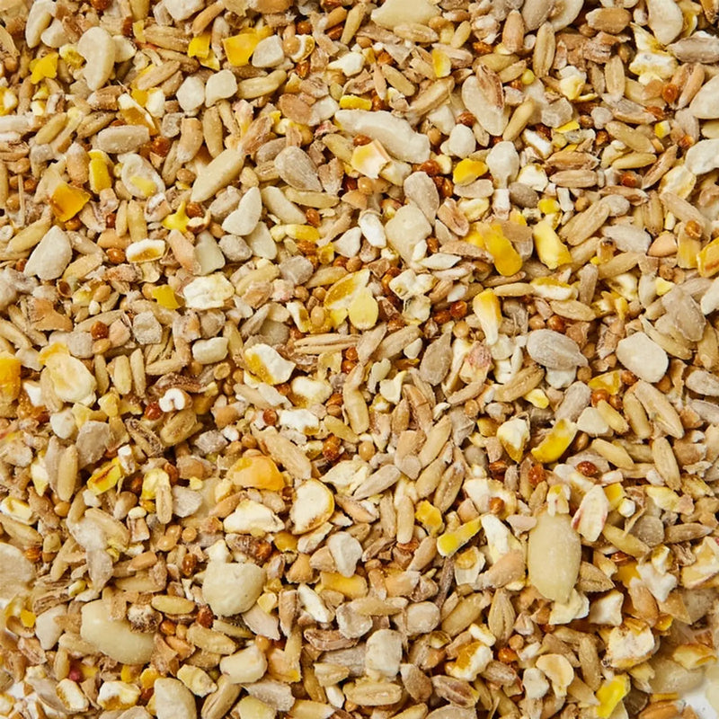 Ambassador No Mess Hi Energy Seed 1.5kg