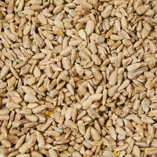 Ambassador Sunflower Hearts 12.6kg