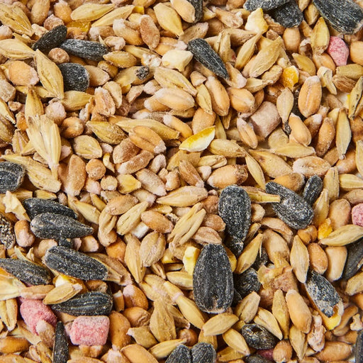 Ambassador Wild Bird Seed 12.6kg