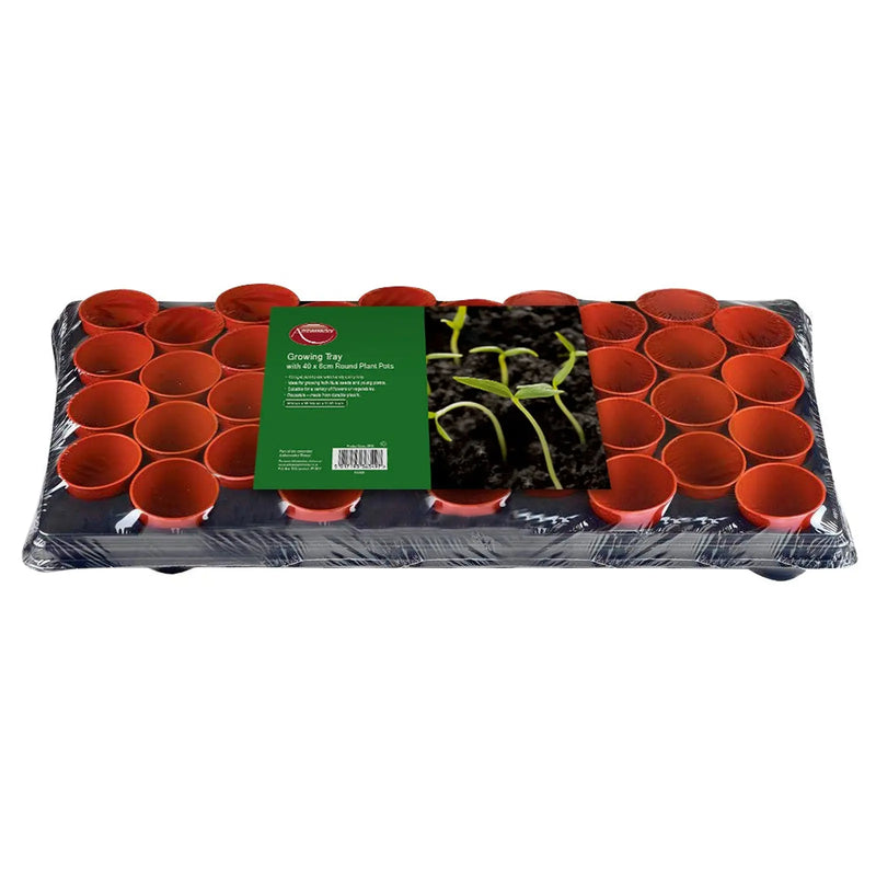 Ambassador Growing Tray 18 x 9cm Round Pots