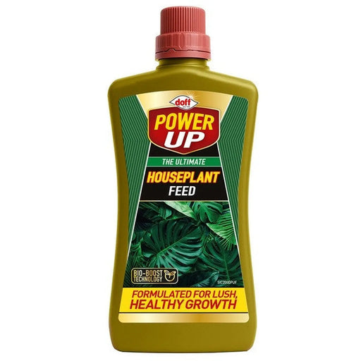 Power Up The Ultimate Houseplant Feed