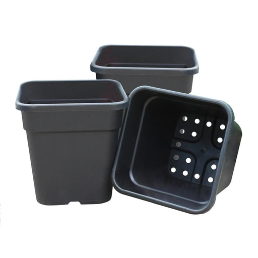 Garland Square Tomato Pots Black 21cm