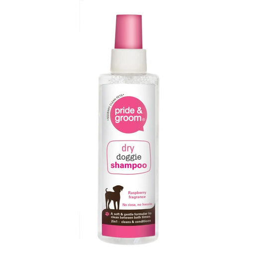Stax Pride & Groom Dry Shampoo Spray 200ml