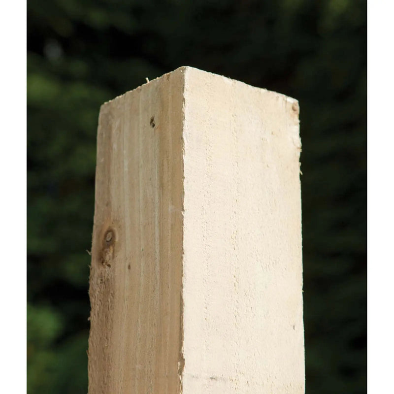 RMPP Kiln Dried CLS Timber 63 x 38mm x 2.4m