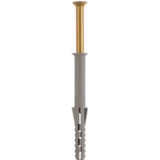 Rawlplug Frame Fixing Pack 16 8X100