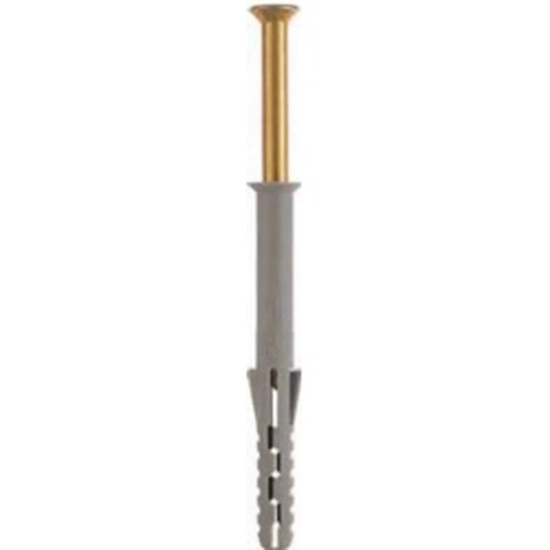 Rawlplug Frame Fixing Pack 12 10X160