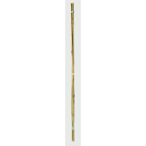 Ambassador Bamboo Canes 4' Pack 20