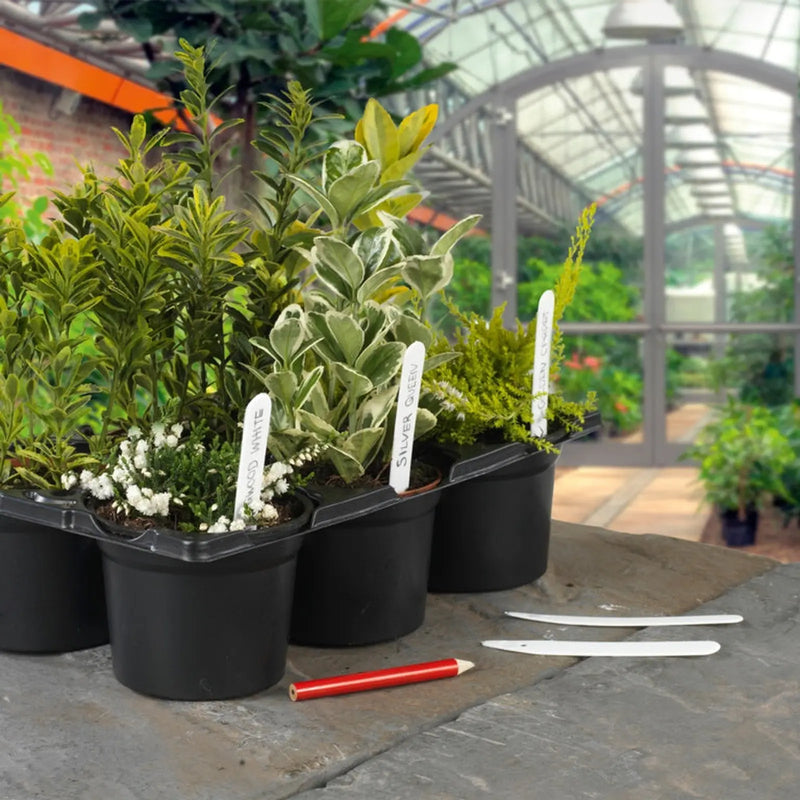 Ambassador Plant Labels & Pencil Pack 50 4"