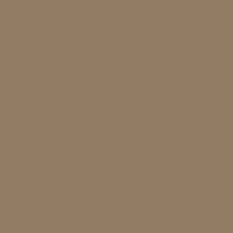 SP Glass Splashback 600 x 750mm Cappuccino