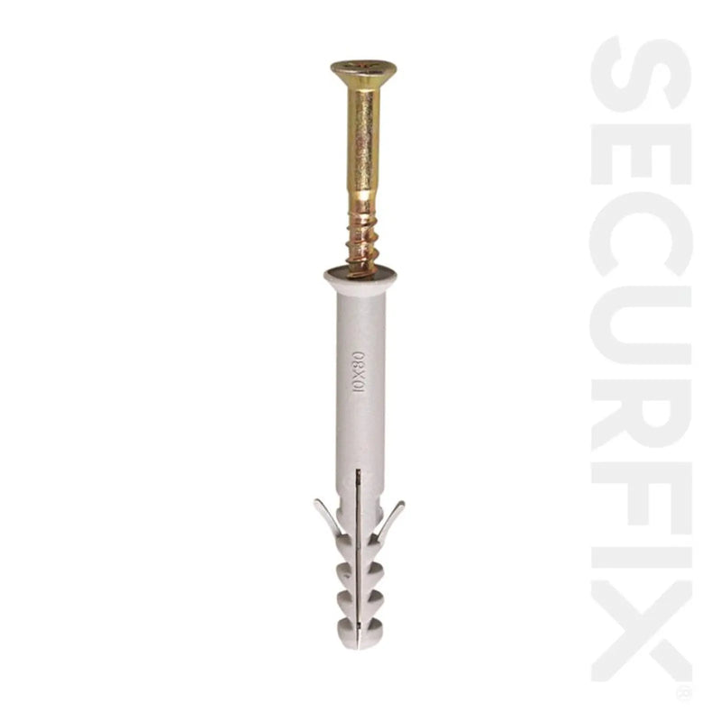 Securfix Frame Fixing M10 x 120mm Pack 10