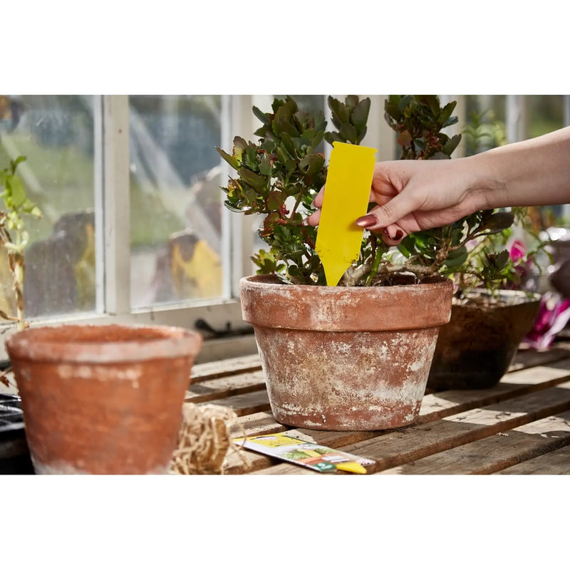 Zero In Pot Plant Bug Traps 5 Pack