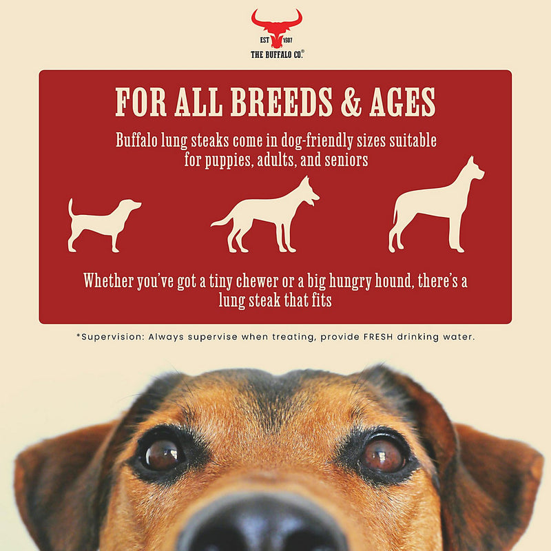 The Buffalo Co. Buffalo Lung Steaks for Dogs 100g - 3827 - Natural Dog Treat