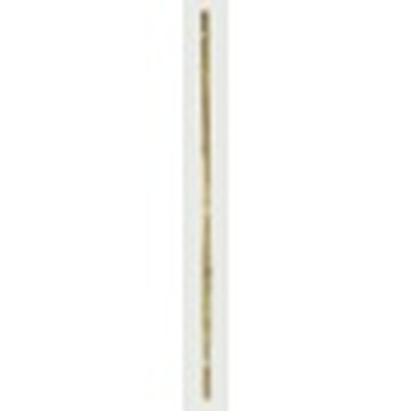 Ambassador Bamboo Canes 2' Pack of 20