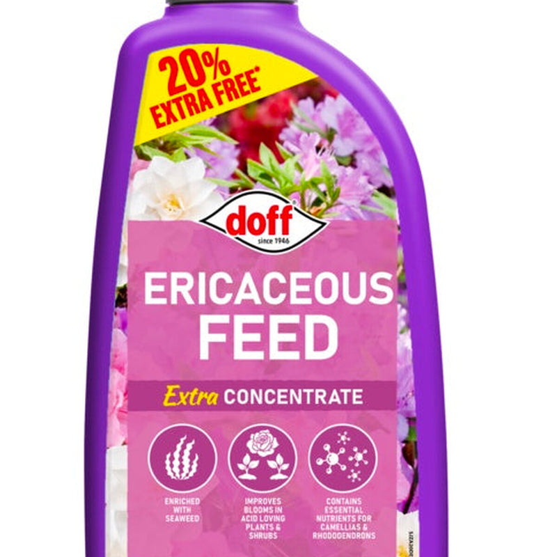 Doff Azalea Camillia & Rhodedendron Feed Concentrate 1.2L Extra Fill
