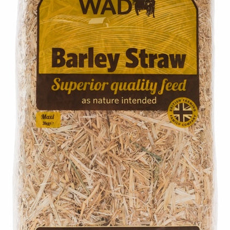 Pillow Wad Maxi Barley Straw 3kg